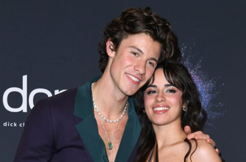 Shawn Mendes dan Camila Cabello Dikonfirmasi Kembali Bersatu!